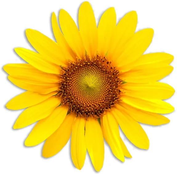Suport din fibră de iută pentru farfurii Madre Selva Sunflower