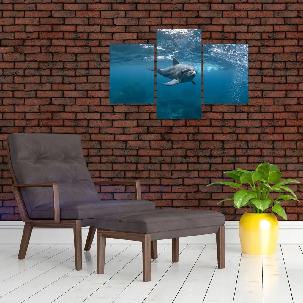 Tablou - Delfin sub apă (90x60 cm)