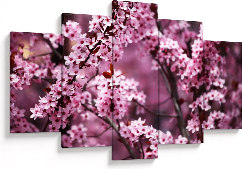 Tablou - Sakura roz (150x105 cm)