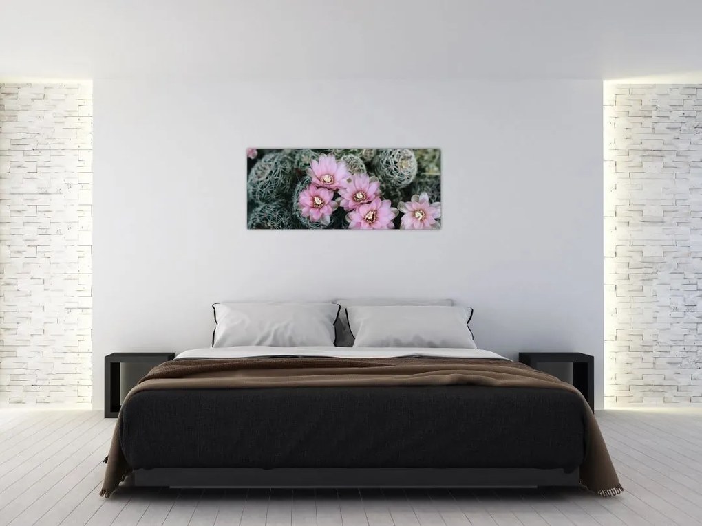 Tablou floare de cactus (120x50 cm)