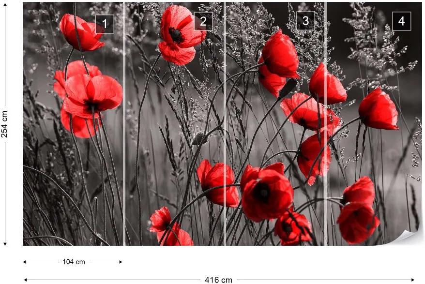 Fototapet GLIX - Red Poppies  + adeziv GRATUIT Tapet nețesute - 416x254 cm