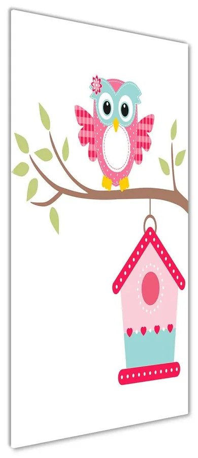 Tablou sticlă acrilică Owl pe o ramură
