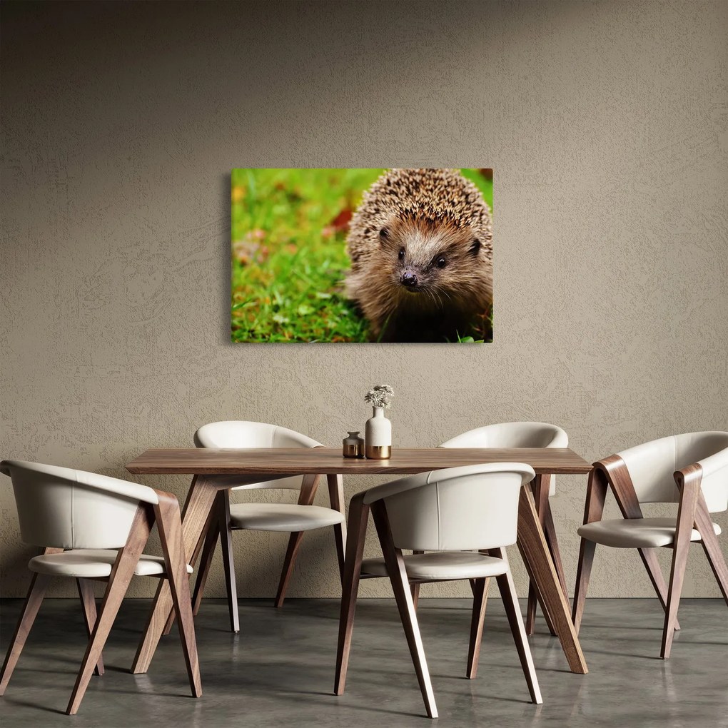 Tablou cu arici (90x60 cm)