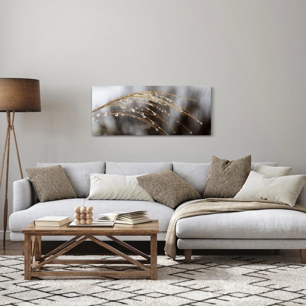 Tablou - Picături pe plantă (120x50 cm)