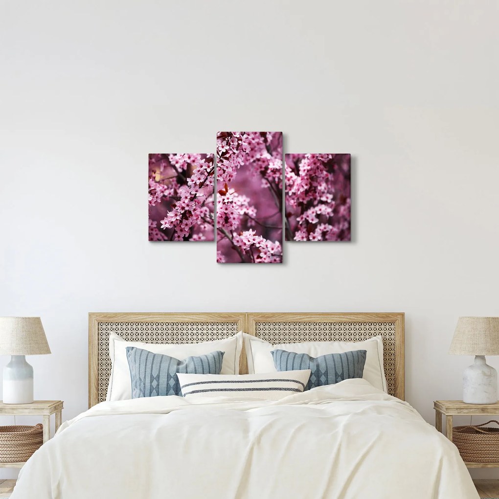 Tablou - Sakura roz (90x60 cm)