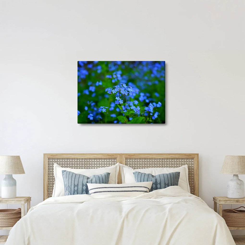 Tablou cu flori albastre (70x50 cm)