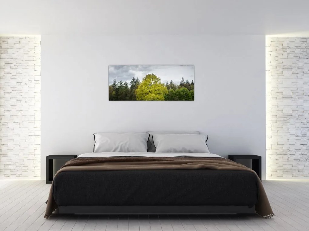 Tablou - Copac verde în câmp (120x50 cm)