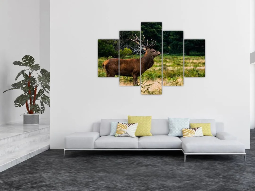 Tablou cu cerb (150x105 cm)