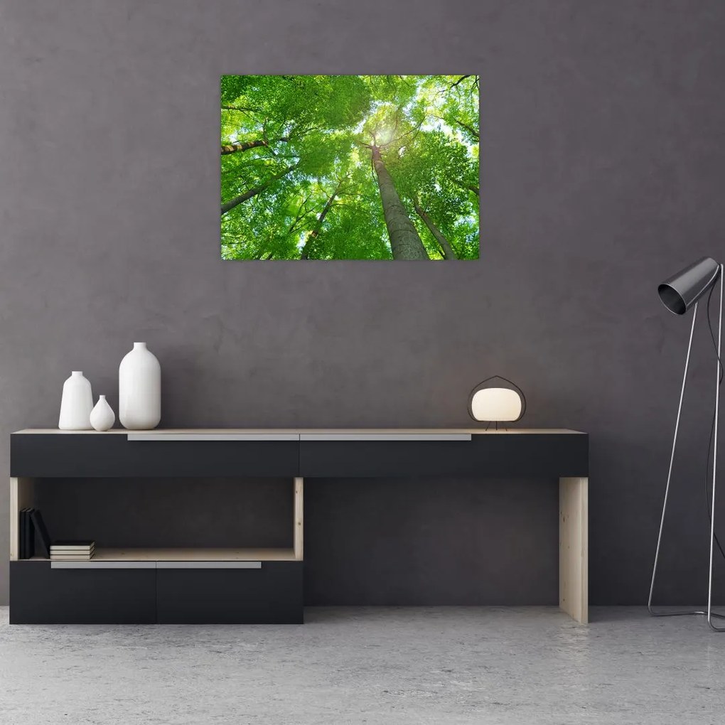 Tablou - Lunca (70x50 cm)