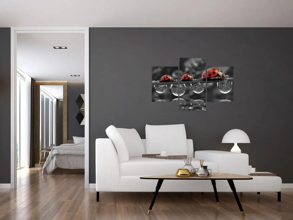 Tablou - Floarea-soarelui, alb și negru (90x60 cm)
