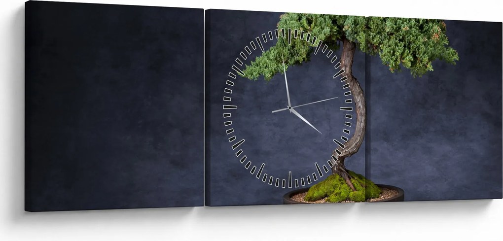 Tablou - Bonsai (cu ceas) (90x30 cm)
