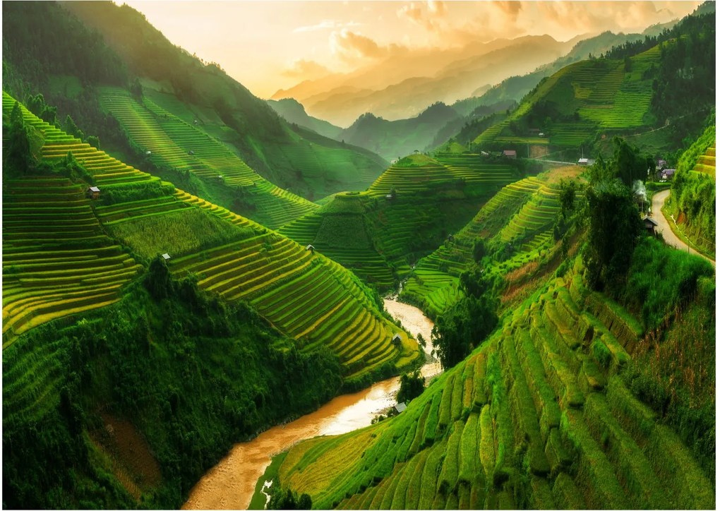 Tablou - Terase de orez Mu Cang Chai (70x50 cm)