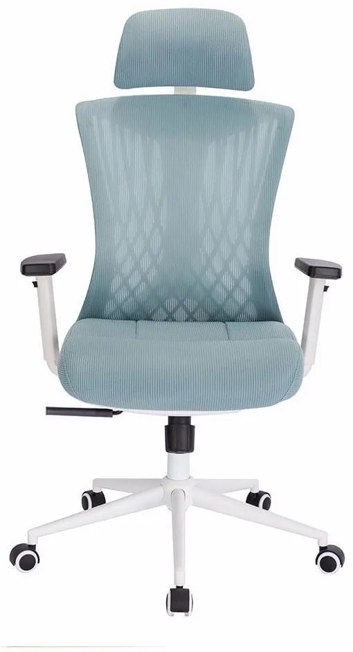 Scaun rotativ ergonomic de birou Ergomax, patină