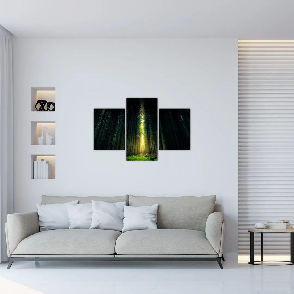 Tablou cu pădurea întunecată (90x60 cm)
