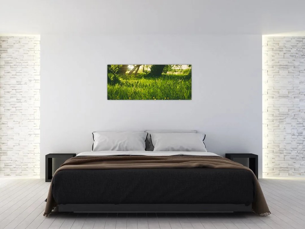 Tablou cu natura - lunca (120x50 cm)