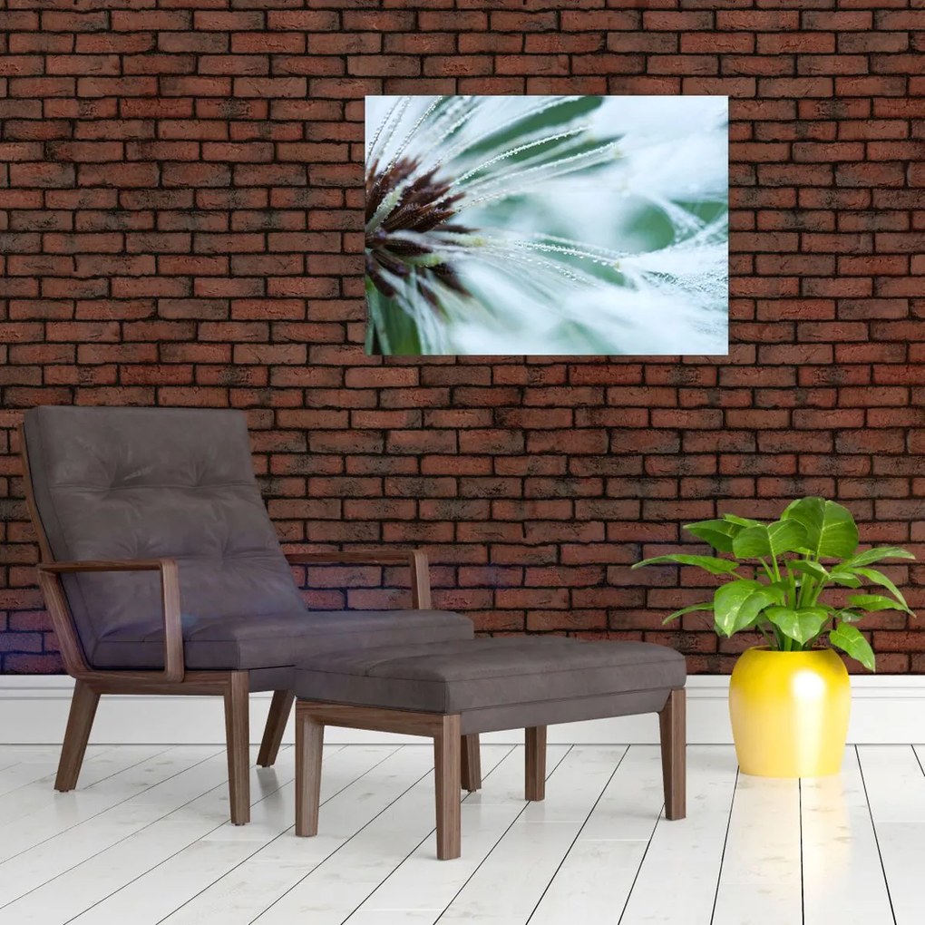 Tablou - Detaliu floare (70x50 cm)