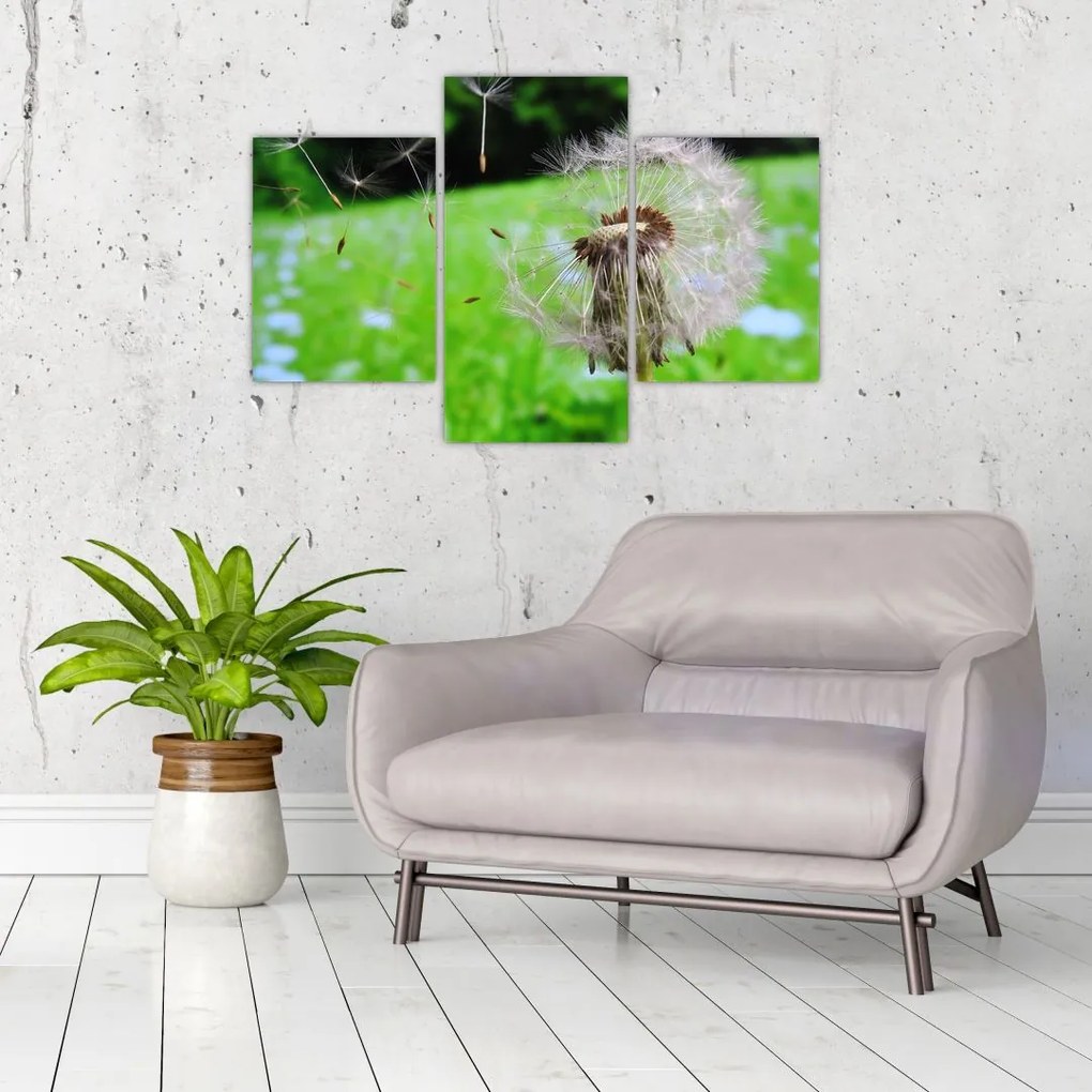 Tablou cu păpădie (90x60 cm)