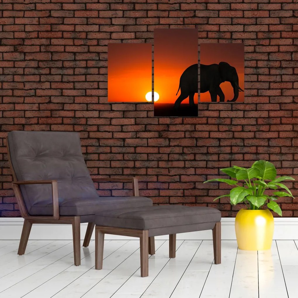 Tablou cu elefant în apus de soare (90x60 cm)