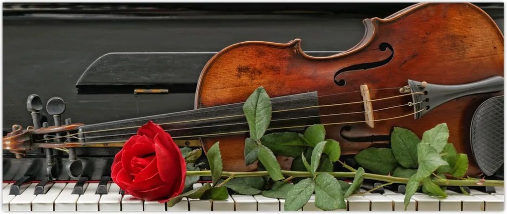 Tablou- Amintire de muzicean (120x50 cm)