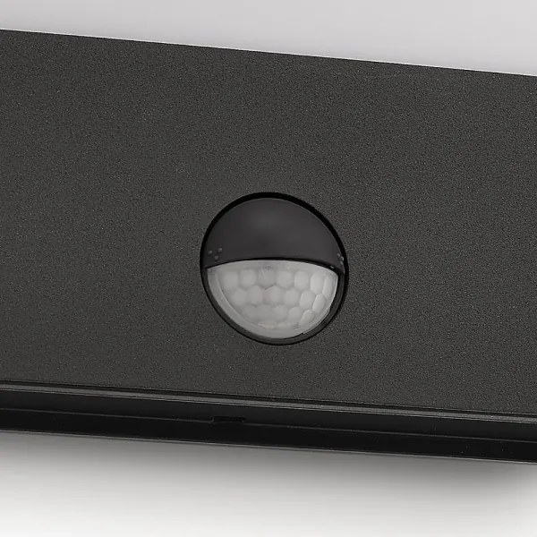 Corp de iluminat LED de exterior cu senzor RACCOON 1xLED/3W/230V IP44 Philips 17274/93/16