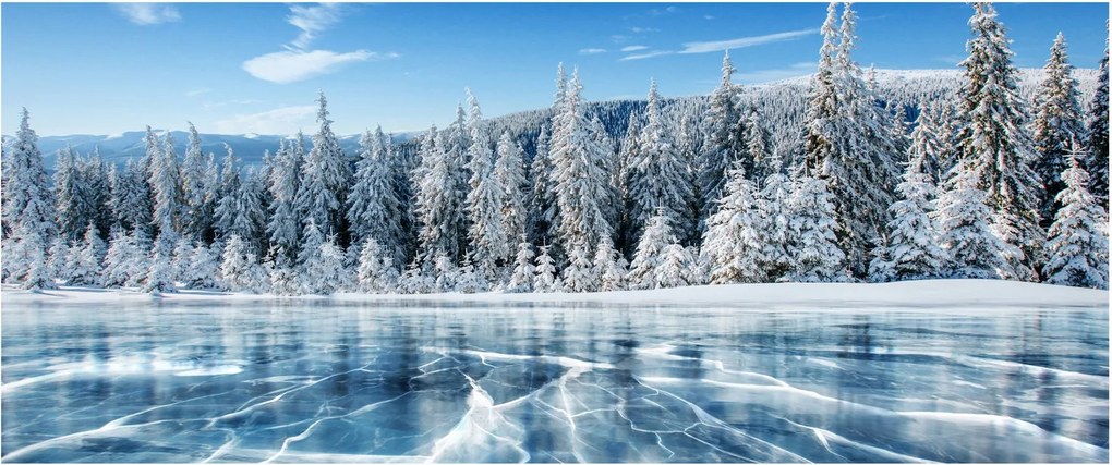 Tablou cu lacul înghețat și copacii înzăpeziți (120x50 cm)