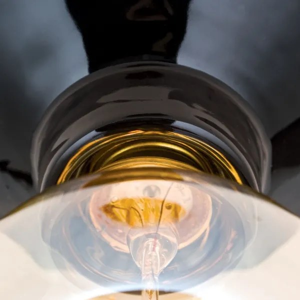 Orion - Plafonieră FROST 1xE27/60W/230V neagră