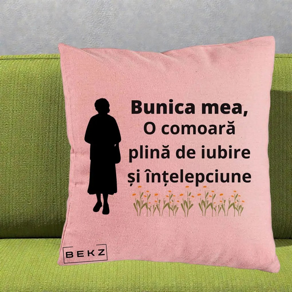 Cadou pentru Bunica - Perna Personalizata Bunica Mea Comoara Iubire Intelepciune Silueta cu Nepoata, 40x40 cm, Roz, Husa Detasabila, Perna Inclusa, BEKZ®