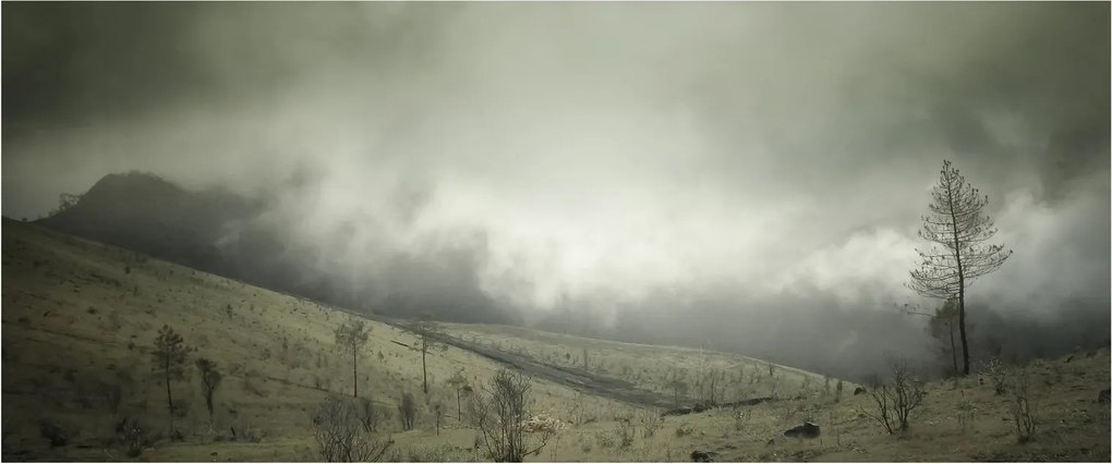 Tablou - Peisaj înainte de furtună (120x50 cm)