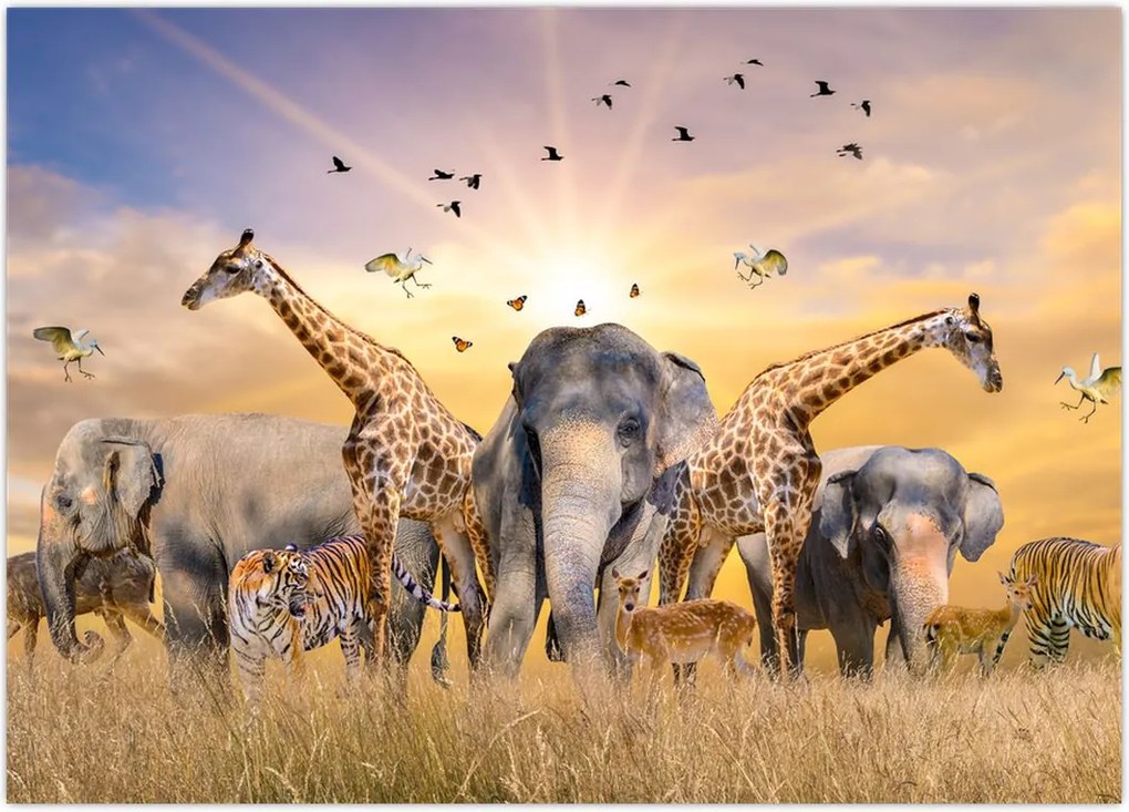 Tablou - Animae din Africa (70x50 cm)