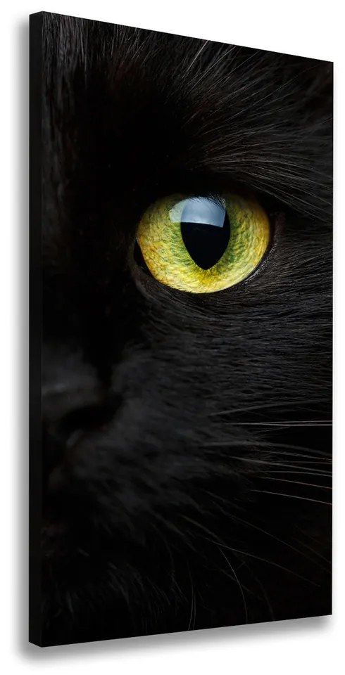 Print pe canvas Ochi de pisica