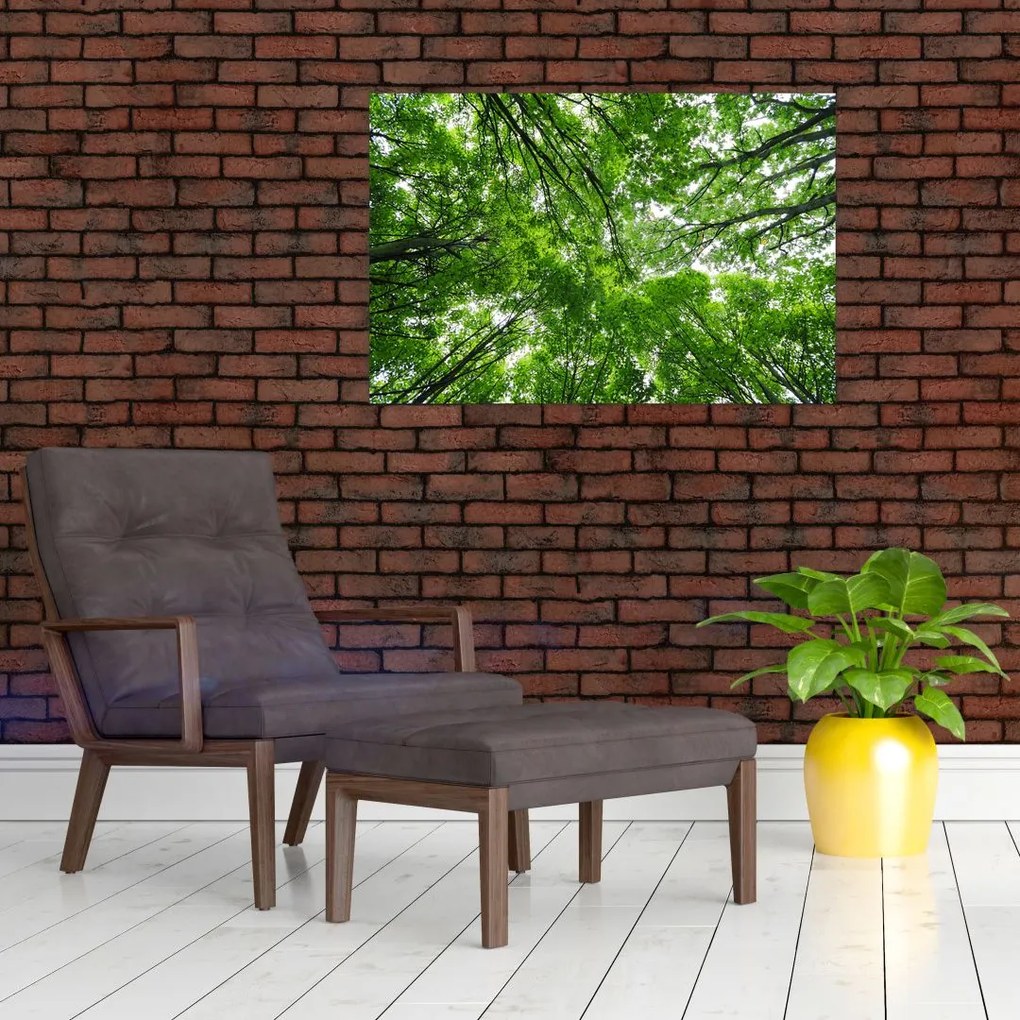 Tablou - privire în coroanele pomilor (90x60 cm)