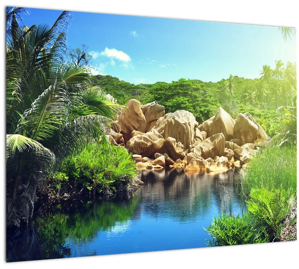 Tablou cu lac în jungla din Seychelles (70x50 cm)
