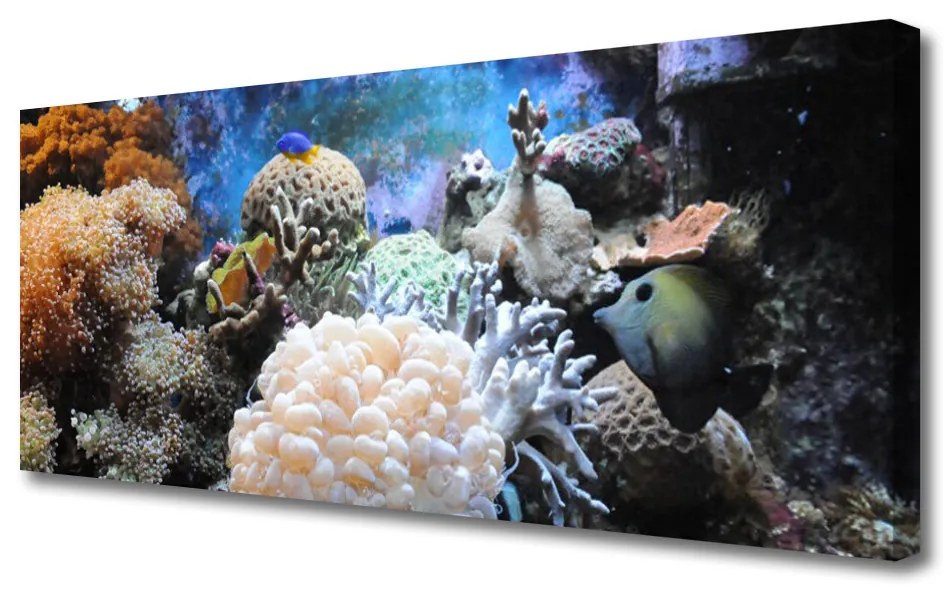 Tablou pe panza canvas Coral Reef Natura Gri Alb Galben