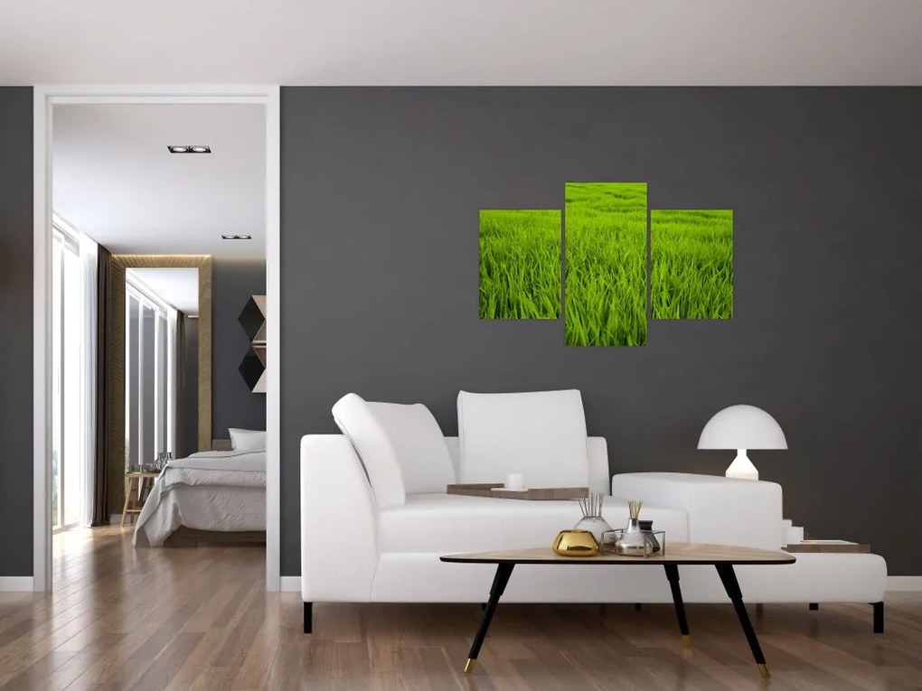 Tablou cu iaraba (90x60 cm)