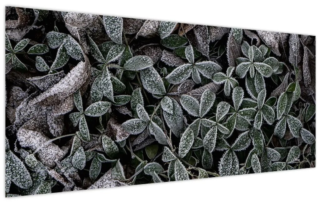 Tablou - Plante înghețate (120x50 cm)