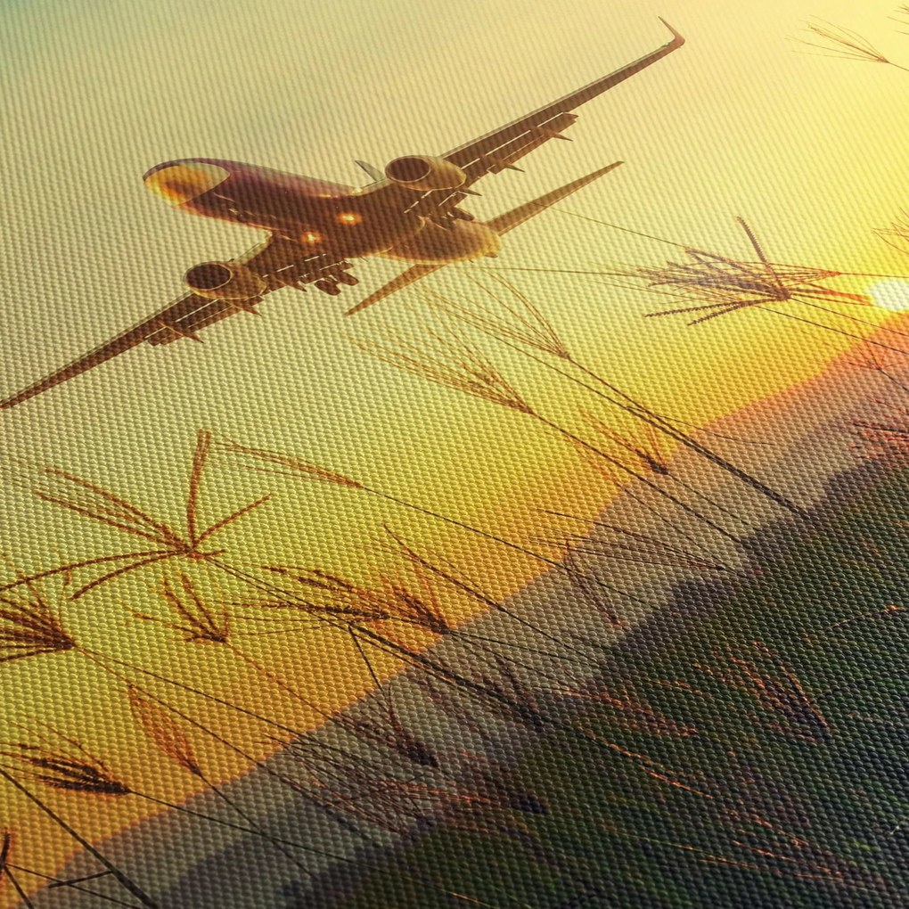 Tablou cu avion zburând (120x50 cm)