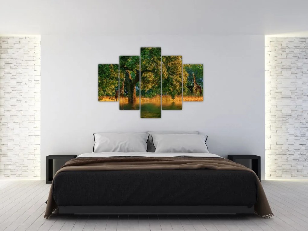 Tablou cu girafe în natură (150x105 cm)