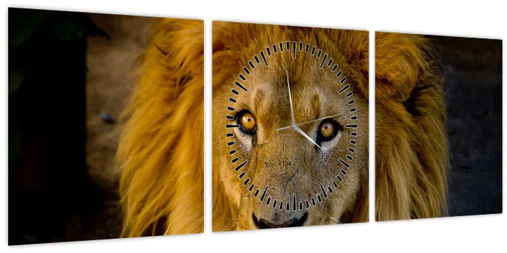 Tablou - Portret de leu (cu ceas) (90x30 cm)
