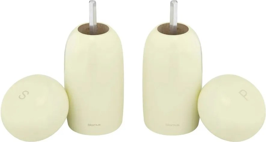 Set solniță și piperniță Moli – Blomus