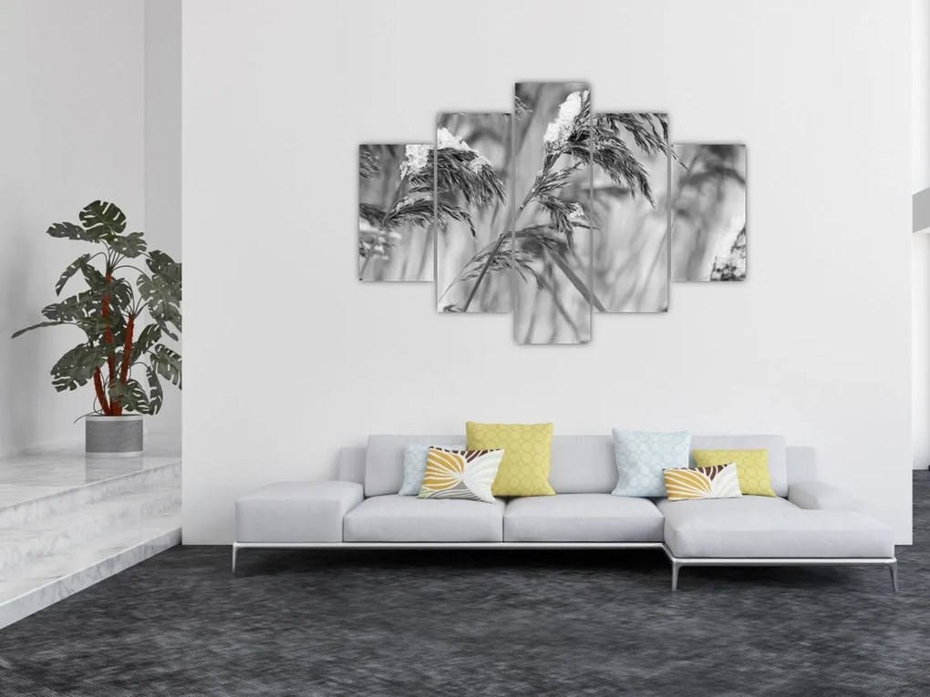 Tablou - Tei,alb-negru (150x105 cm)