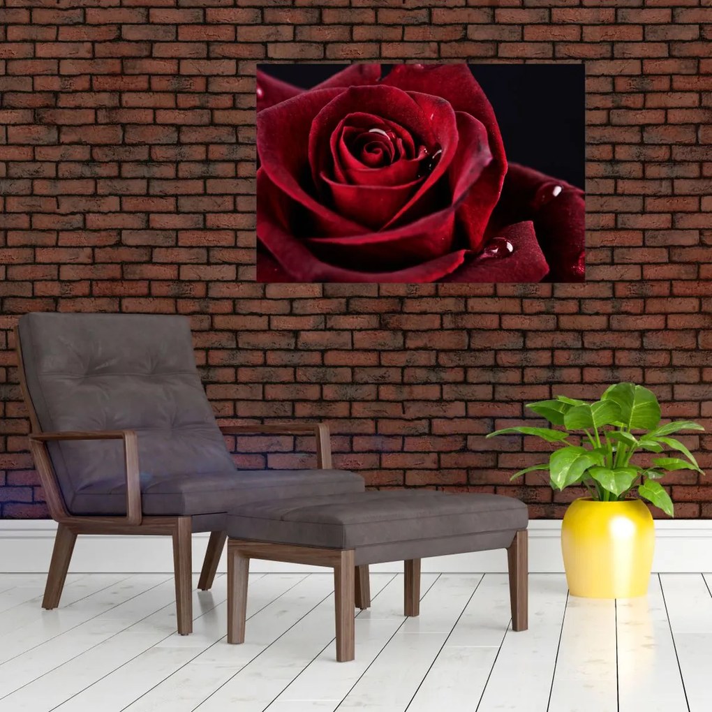 Tablou - Trandafir roșu (90x60 cm)