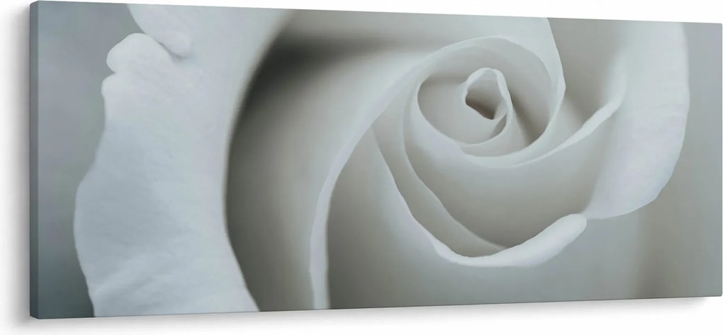 Tablou - Trandafirul alb (120x50 cm)