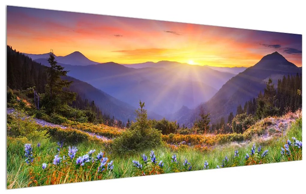 Tablou cu peisaj de pădure (120x50 cm), în 40 de alte dimensiuni noi