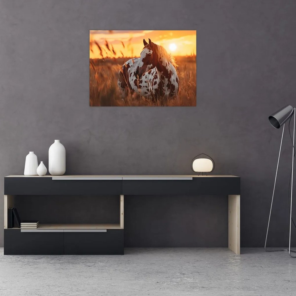 Tablou - Cal la Apus (70x50 cm)