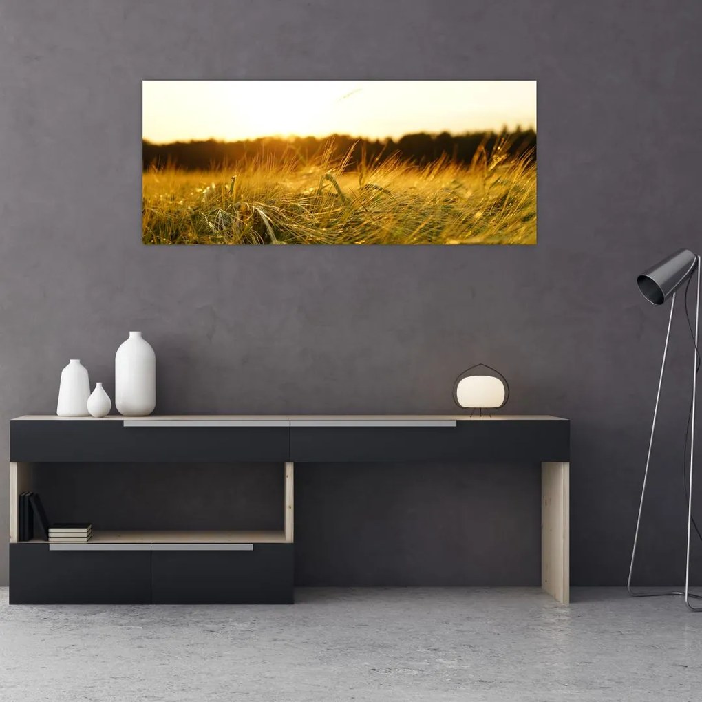 Tablou iarba cu rouă (120x50 cm)