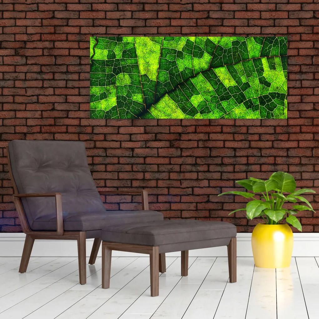 Tablou - Detaliu frunze (120x50 cm)