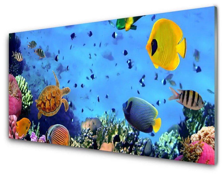 Tablouri acrilice Coral Reef subacvatice de pește Natura Albastru Galben Multi