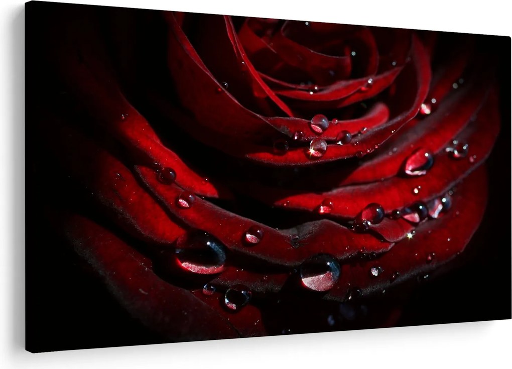 Tablou - Trandafir (90x60 cm)