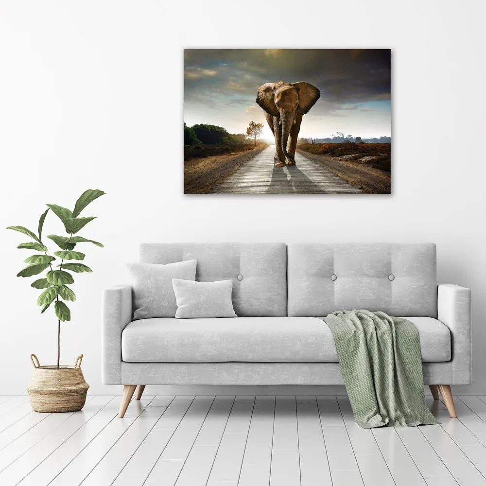 Print pe canvas Elefant de mers pe jos