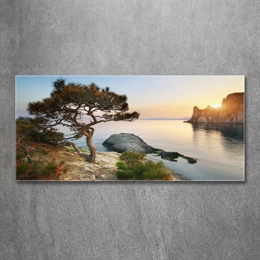 Pictura pe sticlă acrilică Arborele de mare